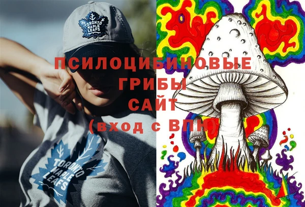 соль ск Надым