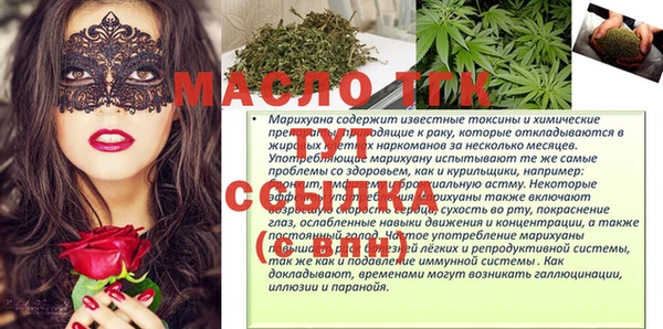 соль ск Надым