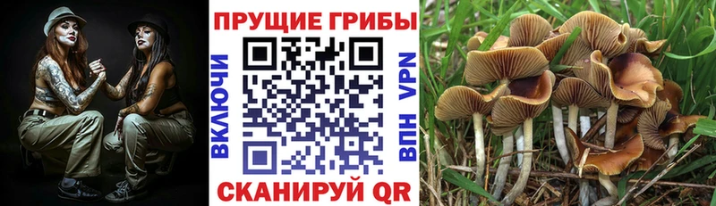 наркошоп  Гуково  Галлюциногенные грибы ЛСД 