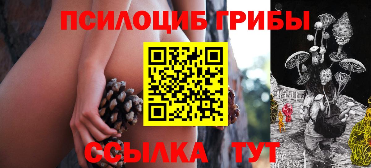 Галлюциногенные грибы Psilocybe  Галлюциногенные грибы ЛСД  Гуково 