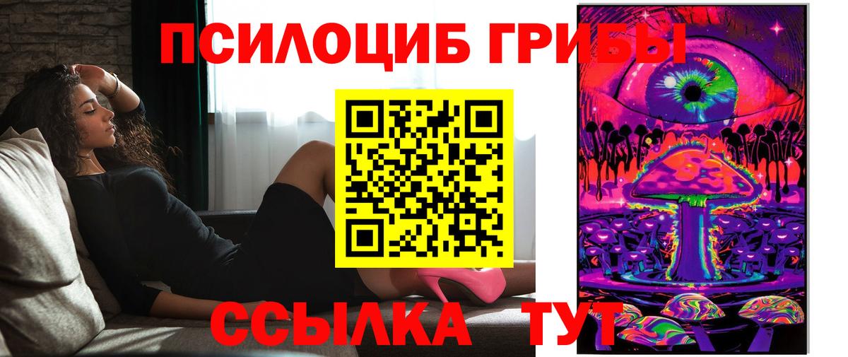 Псилоцибиновые грибы Cubensis Гуково